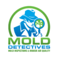 mold